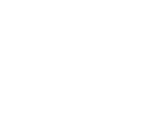 Flea icon overlaid with the text fleas a constant challenge